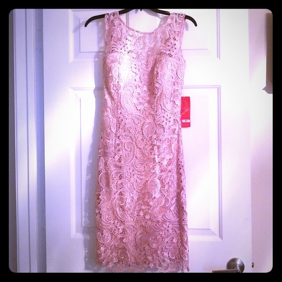 Dusty Rose Lace Short Dress - Picture 1 of 4